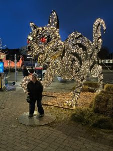 Yule Cat