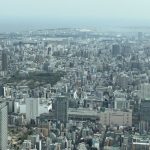 213B0472-B22D-478C-84A5-5D7C9E40DA02_1_105_c