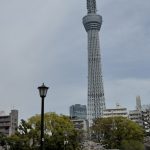 7597FBA7-8A08-42F2-B52F-9008BCF4C91F_1_105_c
