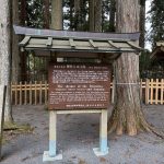 IMG_1387