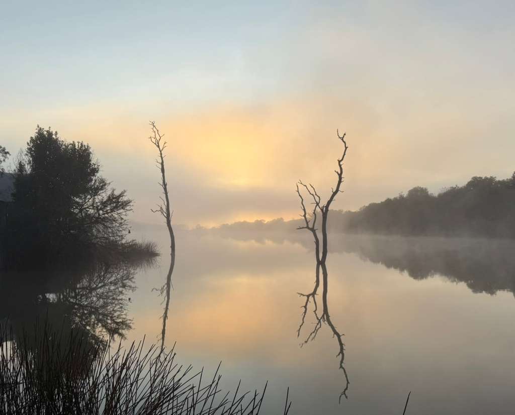 Morning has Broken