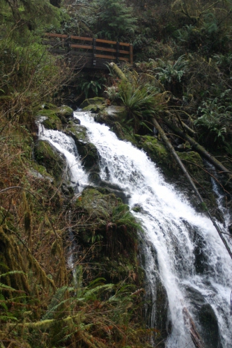 2003 December - Washington - Lake Quinalt - Waterfall 2